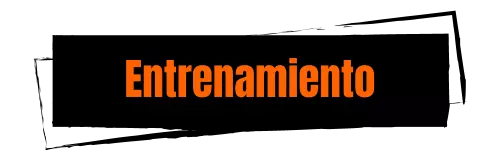 Entrenamiento online
